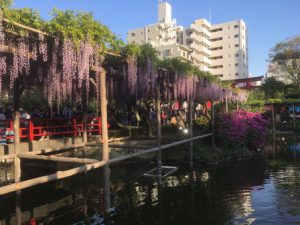 ゴールデンウィークですね ゴールデンウィークですね
